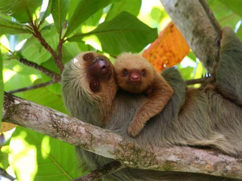 Manuel Antonio National Park